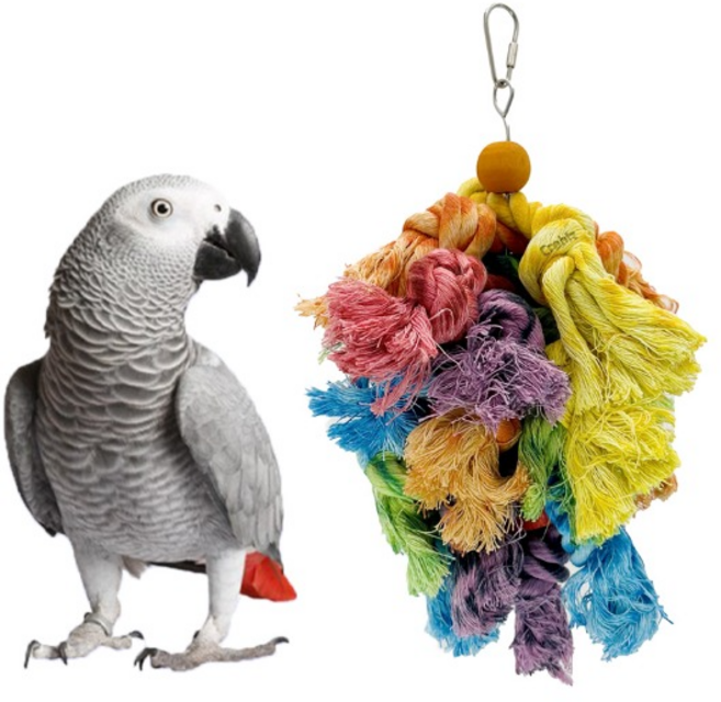 실타래 폭죽 케밥 앵무새 장난감 회색 뉴기니아 아마존 카이큐, 1개, 혼합