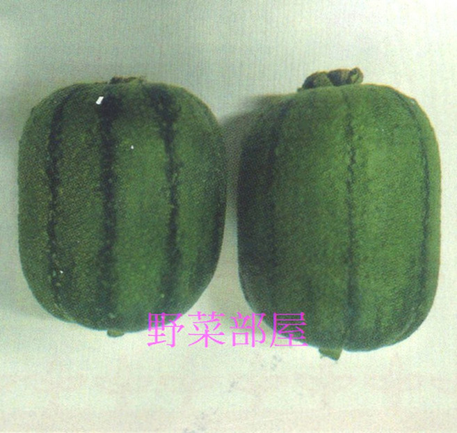 【野菜部屋】K68 黑金剛絲瓜種子 短筒型瓜實 結果力強, 1包