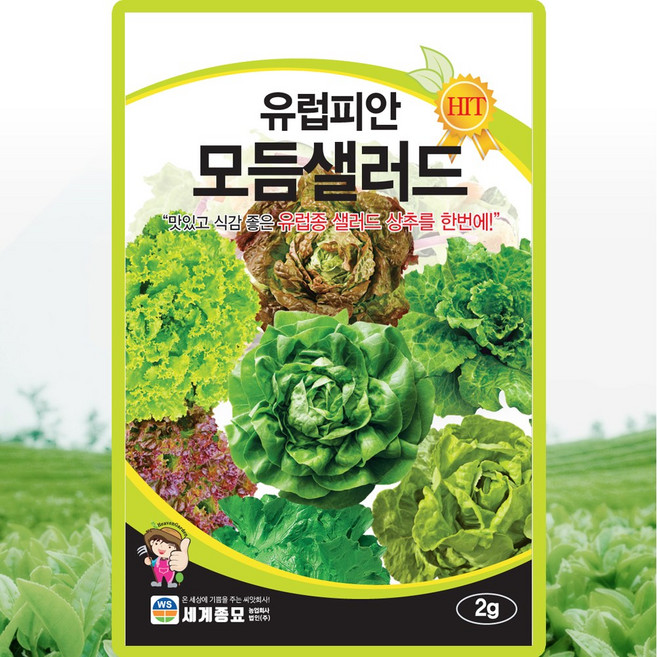 유럽상추씨앗 모듬샐러드 2g 3개 유럽 샐러드 상추를 한번에