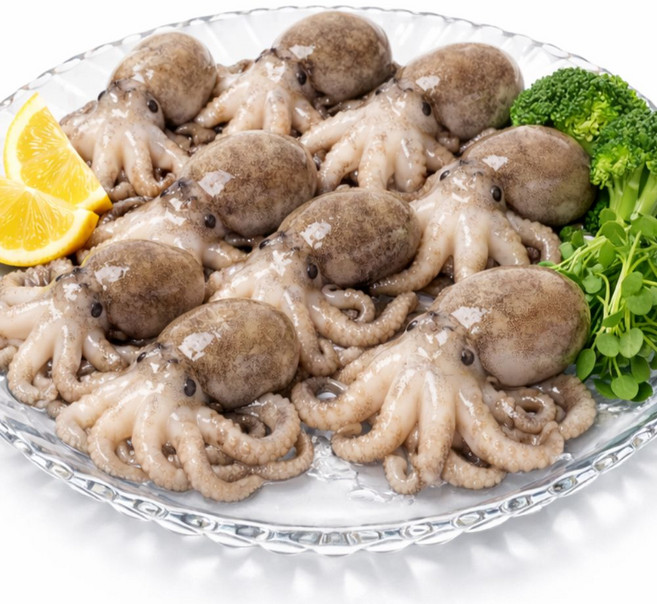 [재구매율1위] 국내산 활 쭈꾸미 생물 특품 당일조업 산지직송 디아머스, 1개, 1kg