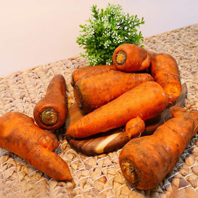 친환경 유기농 무농약 국내산 제주 구좌 흙당근 주스용 쥬스용, 1박스, 5kg (무선별)