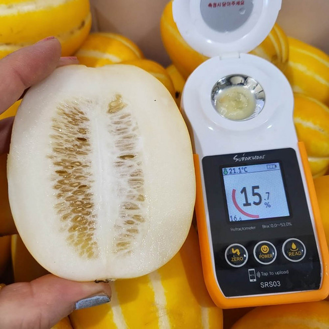 [햇참외]첫수확 가정용 황금 성주 꿀참외, 1박스, 1kg