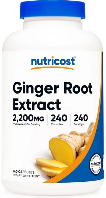 뉴트리코스트 진저 루트 생강 뿌리 추출물 캡슐, 240정, 1개 - 쿠팡