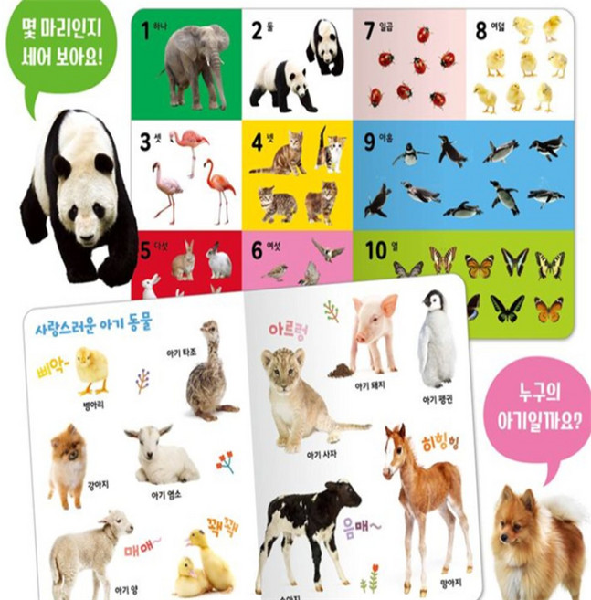 생애 첫 동물백과 인지발달 조카선물 그림책