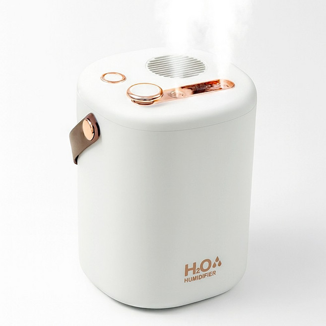 헤이슨 미니 가습기 무드등 휴대용 탁상용 가습기 1L, 화이트