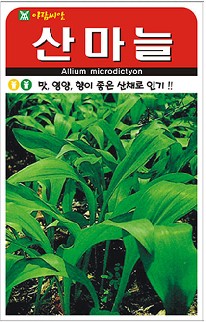아람종묘 산마늘 씨앗 50립, 1개