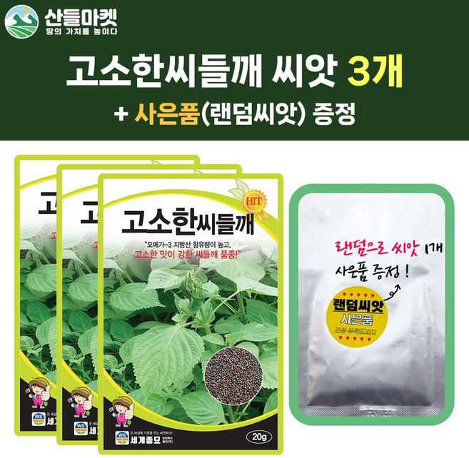 산들마켓 고소한 씨들깨 씨앗 20g 다수확 씨들깨씨 3개+랜덤 씨앗 1개 증정