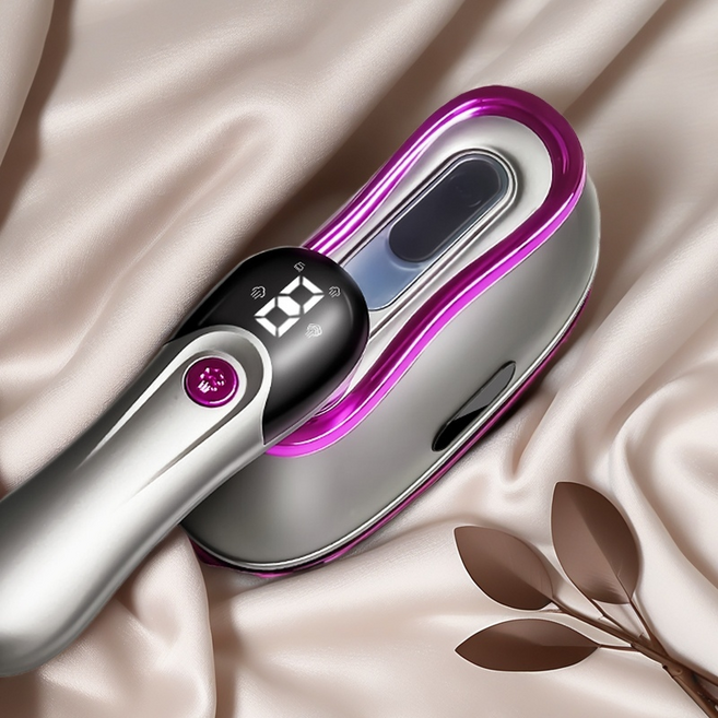 RichMagic 200ml 대용량 휴대용 다리미 4가지 온도 조절, 그레이퍼플, KY-6016B-12