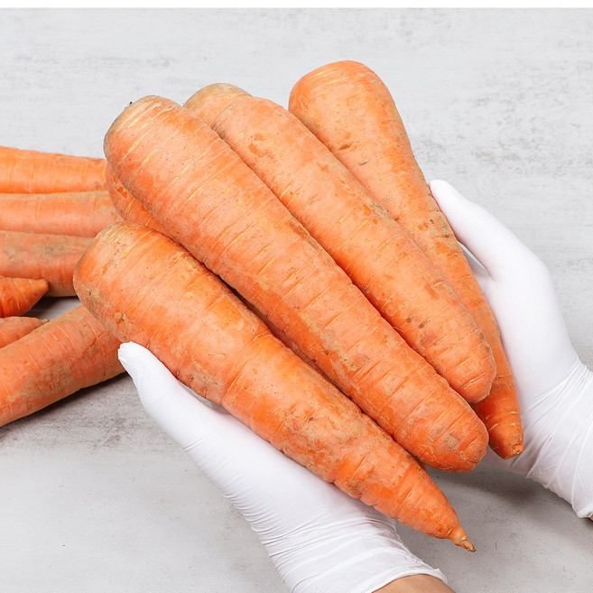 강원도 흙당근 국내산 햇당근 특품 아삭한 당근, 중, 10kg, 1개