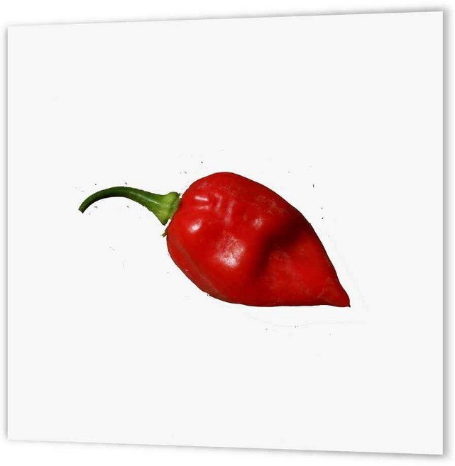 3dRose ht_175588_2 하바네로 레드 핫 페퍼 단 3dRose ht_175588_2 Habanero Red Hot Pepper Single Copy Iron on Hea, 1개, 기본