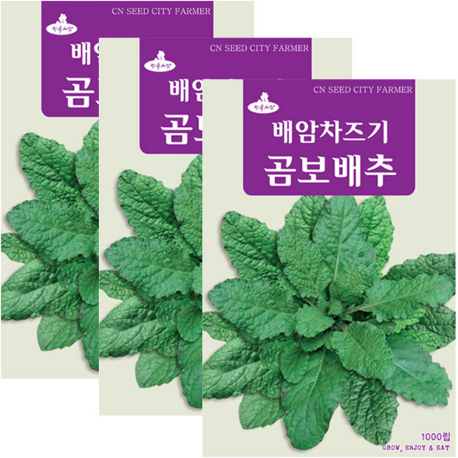 세인화분 곰보배추씨앗 1000립 민속채소 봄나물 반찬채소 씨앗 곰보배추, 3개