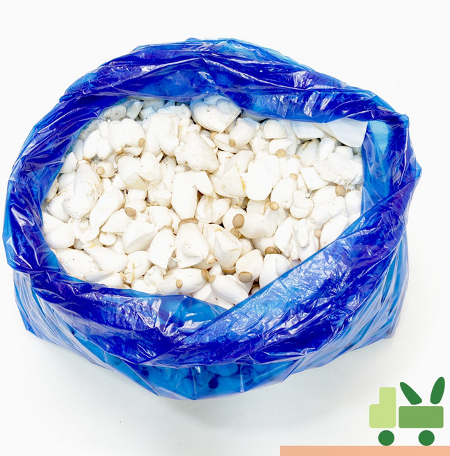 사라상회 콩알새송이 10Kg (5봉)