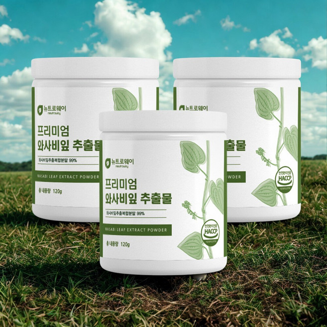 와사비잎은? 비타민 미네랄 섬유질 뿐만아니라 이소비텍신 시니그린도 풍부합니다!! 자연이 준 선물 우리 함께 챙겨보아요!! 프리미엄와사비잎추출물, 1개, 720g