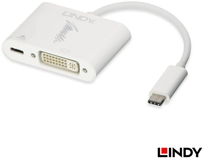 LINDY USB-C to DVI 轉換器 支援PD功能, 1個