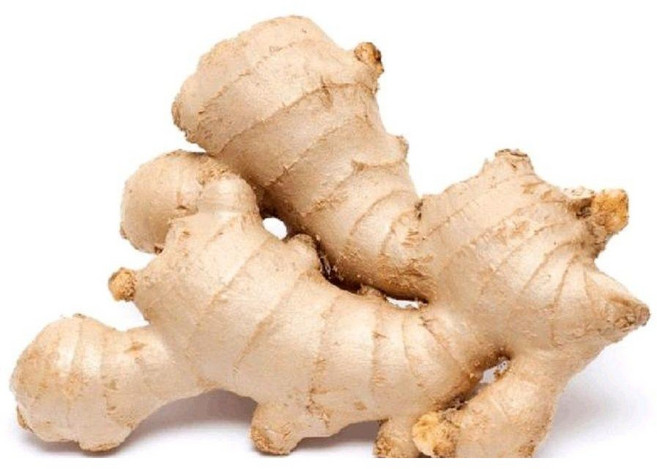 가리봉상회 중국생강 중국 성쟝, 1개, 1kg