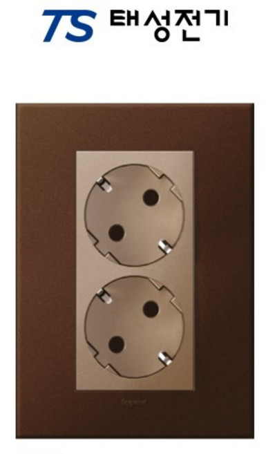 태성전기 르그랑 아테오 2구 콘센트 다크브론즈 골드, 1개