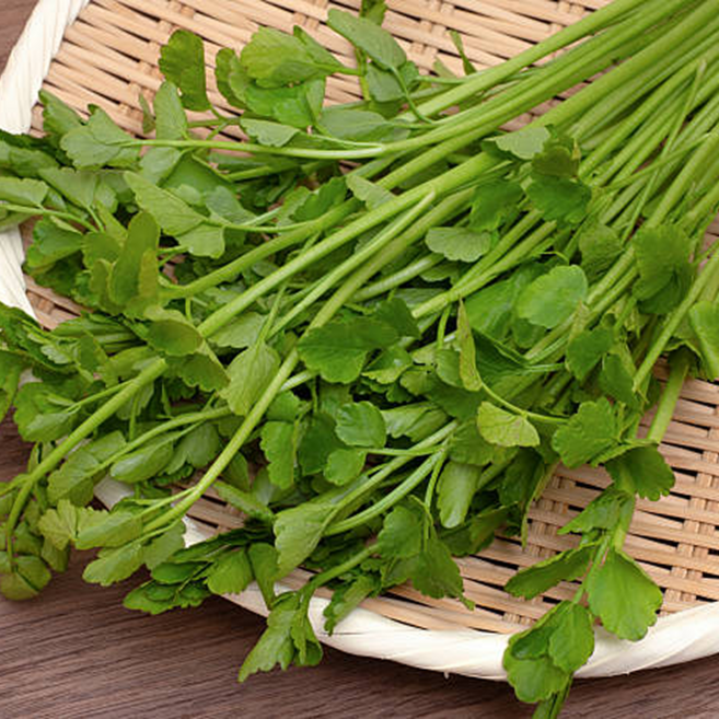 [초특가]향긋한 청도 한재 생 미나리, 200g, 200g