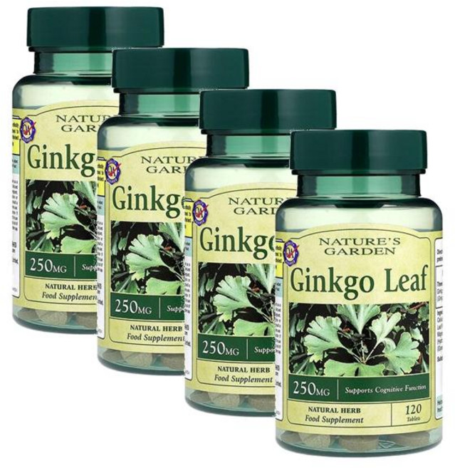 홀랜드앤바렛 내추럴 징코 리프 250mg 징코빌로바 Holland & Barrett Ginkgo Leaf, 4개, 120정