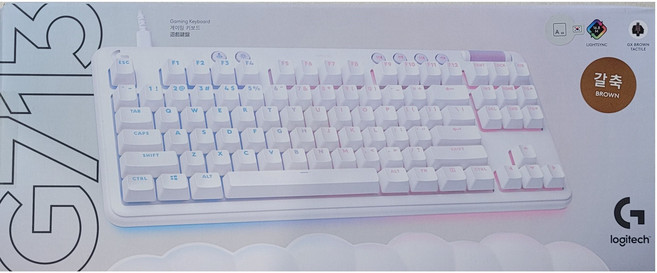로지텍 G713 오로라 컬렉션 유선 게이밍 텐키리스 키보드 택타일, 혼합색상, YU0077