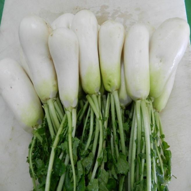 절임 알타리 국내산 이력추적천일염 4세척 알타리무, 1개, 3kg