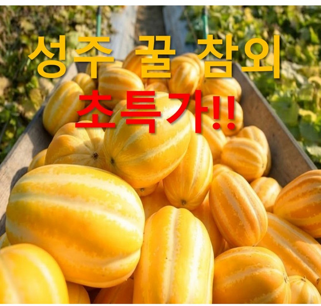[산지직송] 성주 꿀참외, 1박스, 5kg 가정용 대과