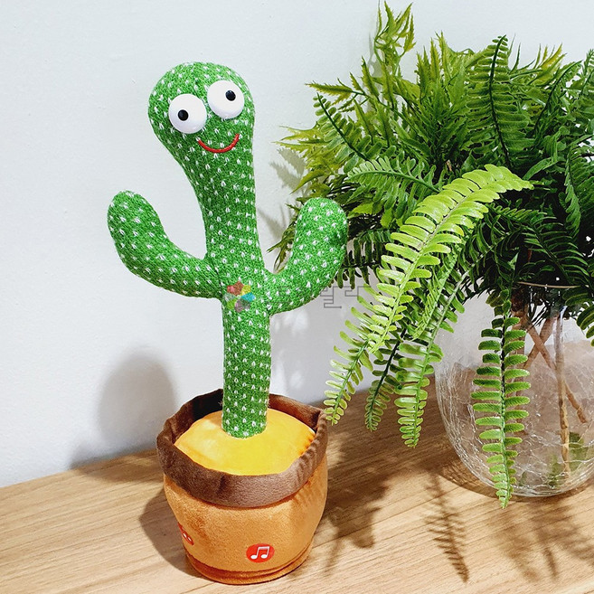 토이랄라 [2개] 말따라하는 춤추는 선인장 KC인증