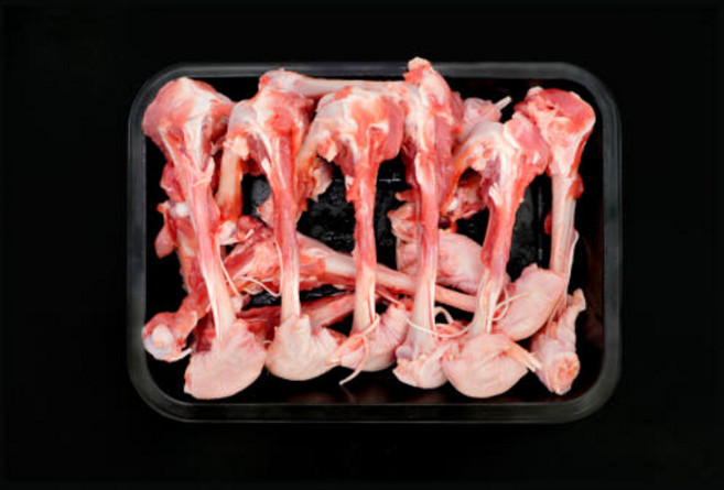 오리 도가니 반려견 생오리 수제간식 생식 냉장 5kg, 1개