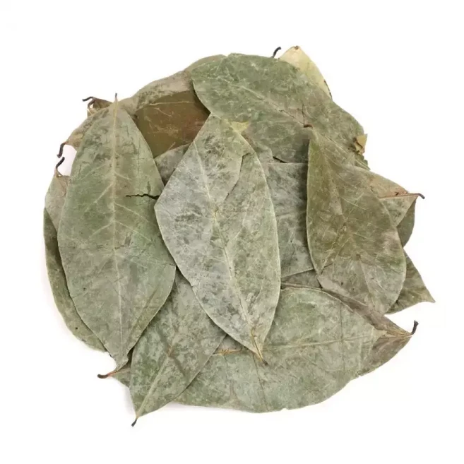 신선약초 자연건조 그라비올라잎 건잎 차 100g, 1개
