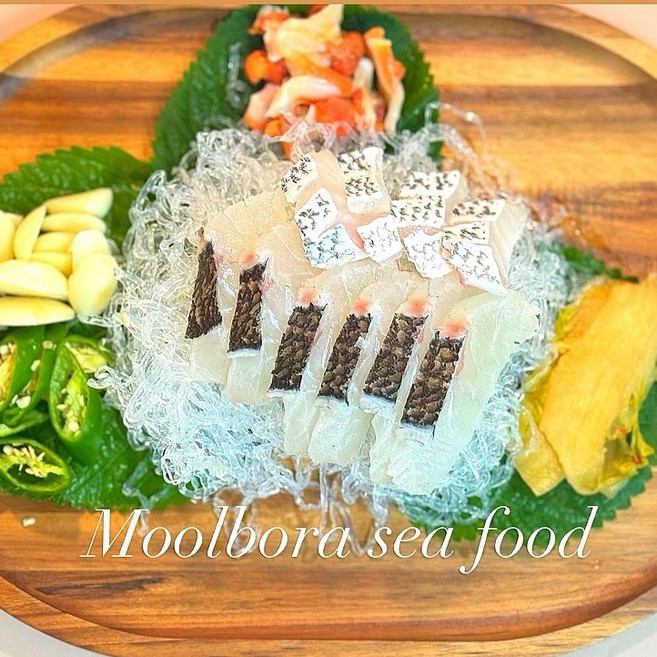 통영 제철 회, 1개, 참돔필렛400g+참돔대가리