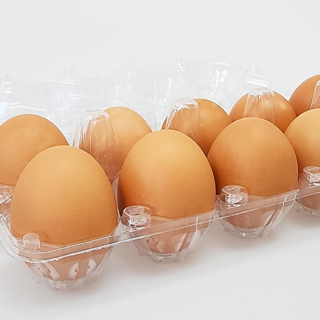 깨끗한 농장 신선한 알뜰 특란 식용란 해썹 계란, 1개, 10구