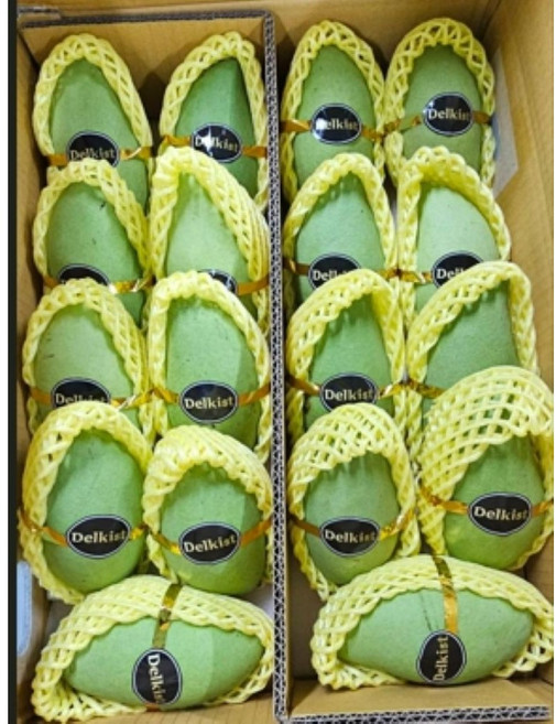 수오과일 태국 직수입 그린망고 18~22과, 1박스, 5KG