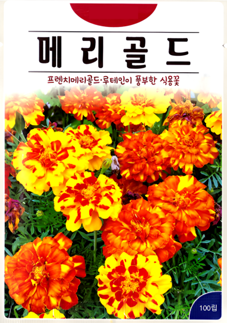 KS종묘 메리골드 100립 루테인 홀꽃 식용꽃 일년생 꽃씨 씨앗 종자, 1개