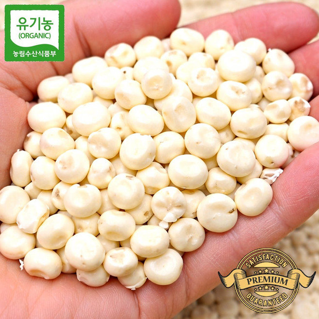 [프리미엄 100%유기농 인정 옥수수알갱이]햇 옥수수로 말린 유기농 옥수수 알갱이 국내산 홍천 유기농 인증 농약 1도 안들어간 유기농 옥수수 알갱이, 1개, 정품 유기농 거피 옥수수알 500g
