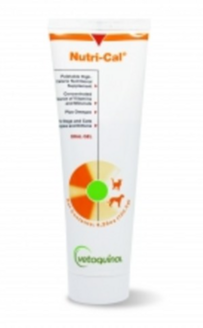 베토퀴놀 뉴트리칼 120g 종합영양제 비타민 미네랄 [당일출고]오늘출발, 1개