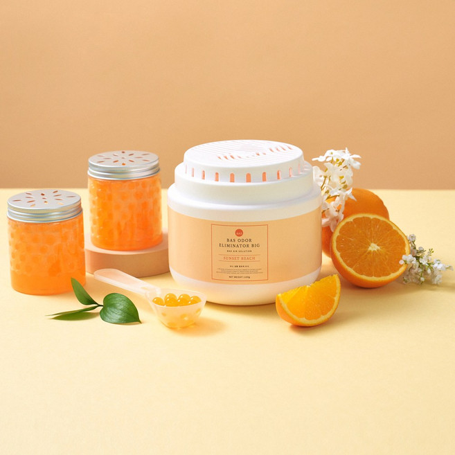 BAS 특대형 실내 탈 취제 빅 (3가지향)_소분용기 포함, 1000g, 1개, 선셋비치