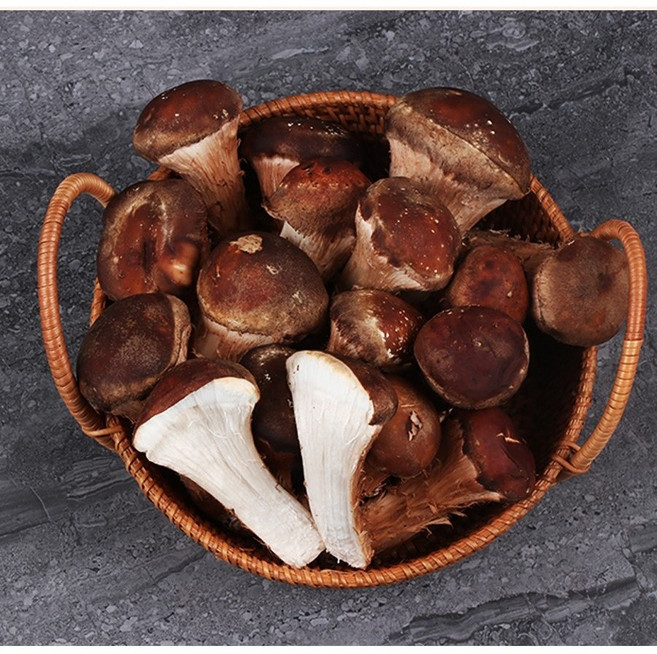 청년농부 참송이 버섯 신선한 자연산 송이버섯, 1박스, 가정용 1kg