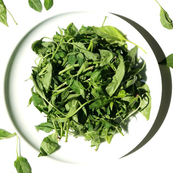 국내산 생 고춧잎 고추잎 나물, 1개, 400g