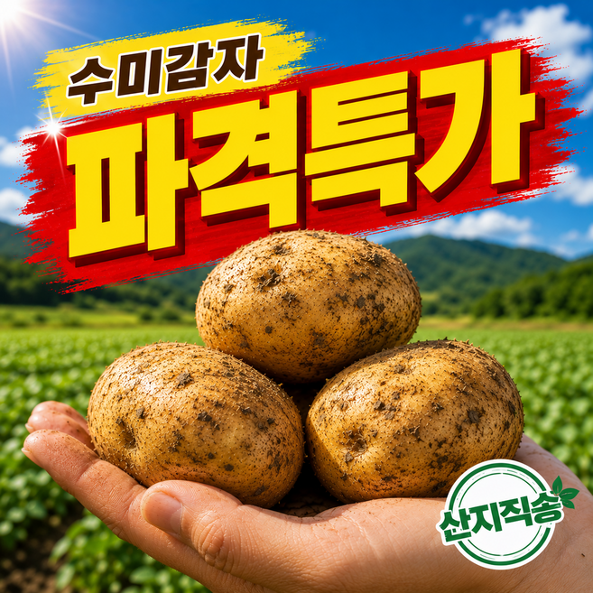 [26년햇감자] 갓수확 산지직송 국내산 수미감자 3kg 5kg 10kg, 1세트, 10kg(특)