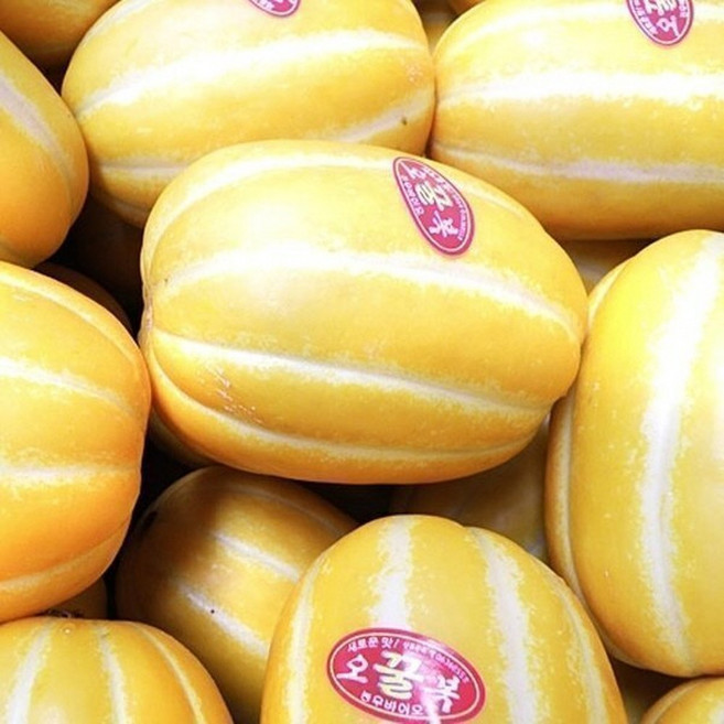 성주참외 2kg 실중량 판매 못드시는건 판매하지 않겠습니다 안심구매하세요, 1개, 2kg 못난이 맛난이