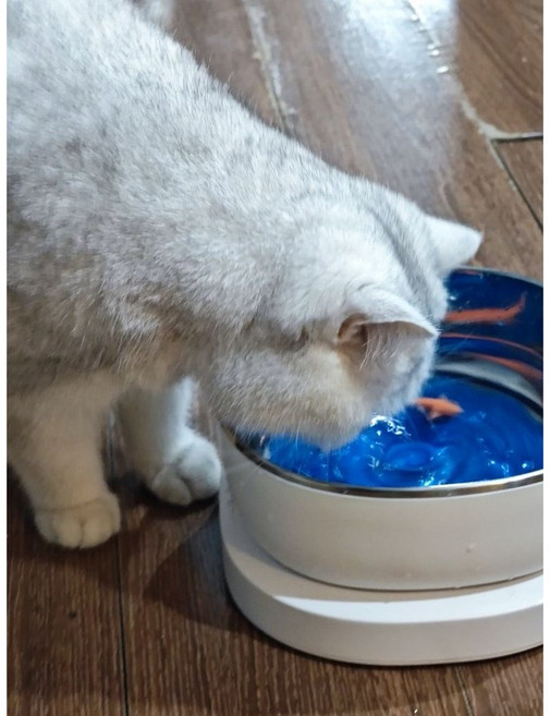 고양이정수기 고양이 음수대 자동 물그릇 물고기 금붕어 물멍, 1개, 화이트