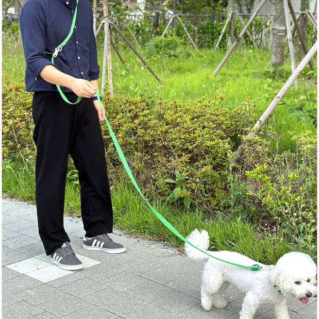 구름솜 강아지 목줄 + 3미터 M 리드줄 핸드프리 산책용품 세트 콜마이네임, 그린, 1개