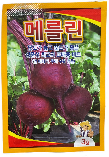 교배종 비트 씨앗 메를린 3g 중조생종 비트 종자 [26년포장]