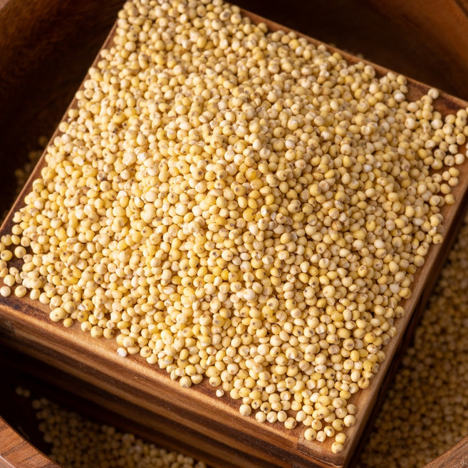 2025 국산 찰기장 1kg 햇 잡곡 차조