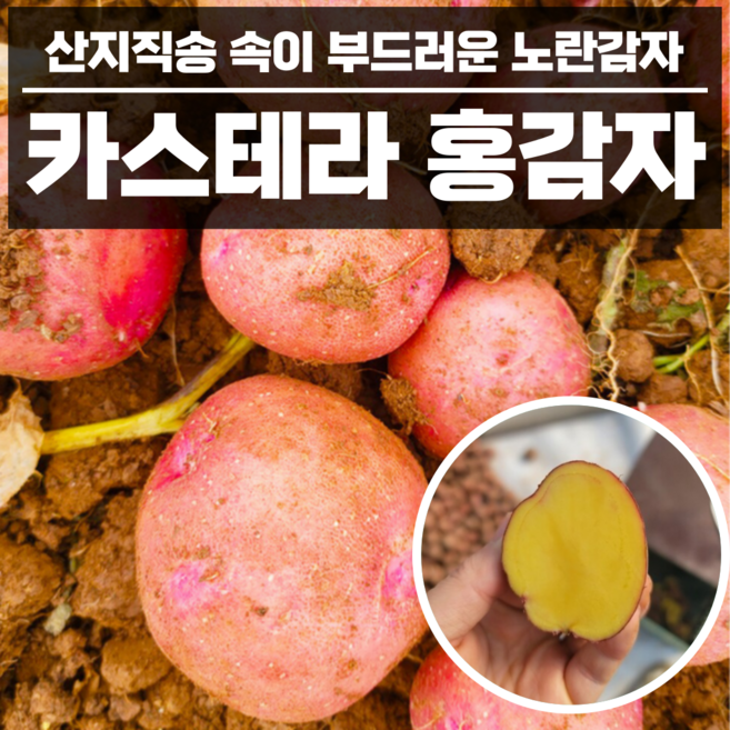 속노란 카스테라 햇 홍감자 3kg 5kg 조림 중 특상, 1kg(소), 1개