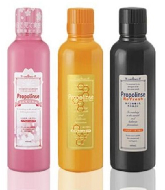 일본 Propolinse 프로폴린스 가글 600ml 구강청결 3종 천연향균성분 프로폴리스, 1개