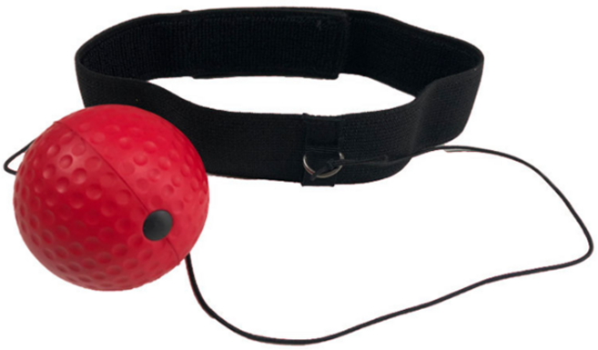 히든템 나혼자산다 복싱볼 미트 운동 볼, 블랙