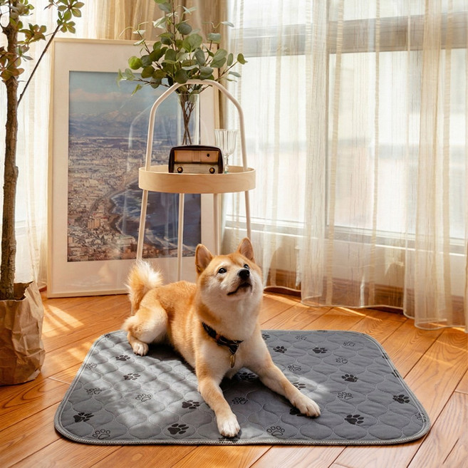 푸키 빨아쓰는 미끄럼방지 배변패드, 1개, 1개입