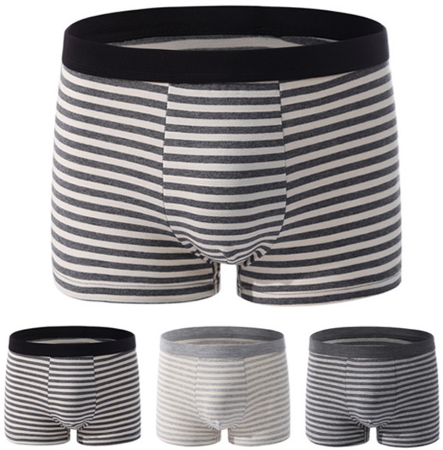 보그라 남성 프리미엄 면 스트라이프 팬티 3종세트 / PM2501