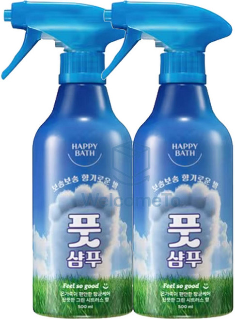 해피바스 필쏘굿 보송보송 항균 케어 풋샴푸 그린 시트러스향, 2개입, 1개, 500ml