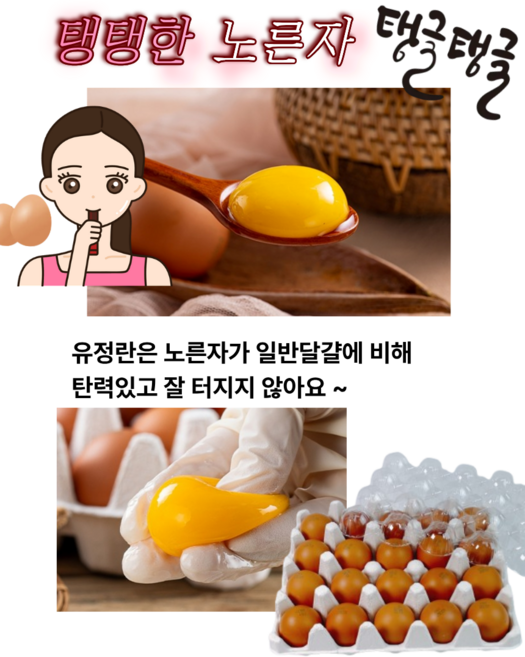 난각번호 1_무항생제 방사 유정란, 1개, 20구